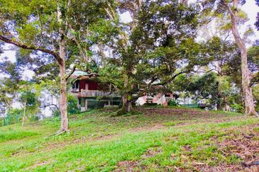 🔥 FOR SALE – DURIAN PLANTATION BATU PAHAT@ SENGGARANG – PONTIAN 🔥
