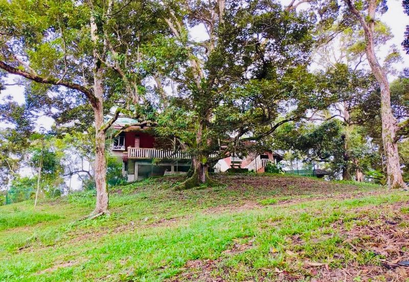🔥 FOR SALE – DURIAN PLANTATION BATU PAHAT@ SENGGARANG – PONTIAN 🔥
