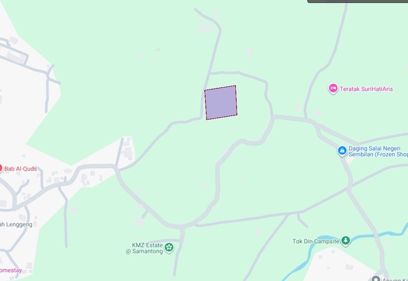 LAND FOR SALE: Tanah Pertanian 1.75 Ekar Kampung Katub Lenggeng