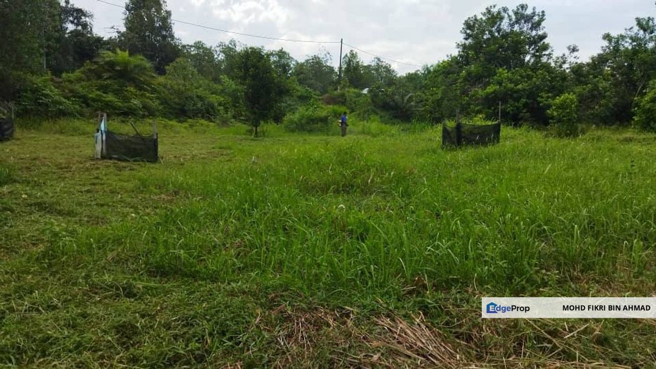 LAND FOR SALE: DUSUN BUAH-BUAHAN KLUANG JOHOR, Johor, Kluang