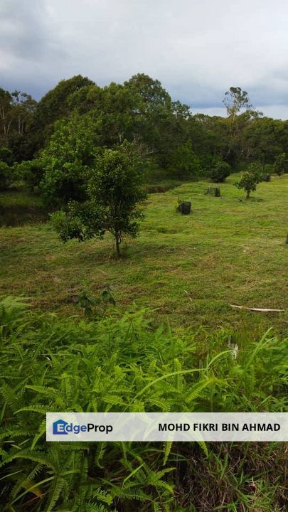 LAND FOR SALE: DUSUN BUAH-BUAHAN KLUANG JOHOR, Johor, Kluang