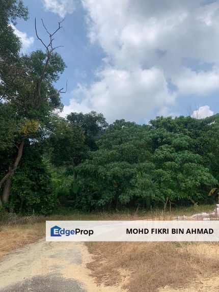 LAND FOR SALE: Tanah Pertanian Bukit Payong Taboh Naning Alor Gajah Melaka, Melaka, Alor Gajah