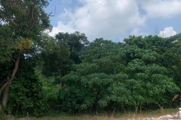 LAND FOR SALE: Tanah Pertanian Bukit Payong Taboh Naning Alor Gajah Melaka