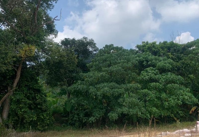 LAND FOR SALE: Tanah Pertanian Bukit Payong Taboh Naning Alor Gajah Melaka