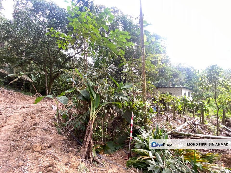 LAND FOR SALE: Tanah Pertanian Sungai Lalang Semenyih Selangor, Selangor, Semenyih