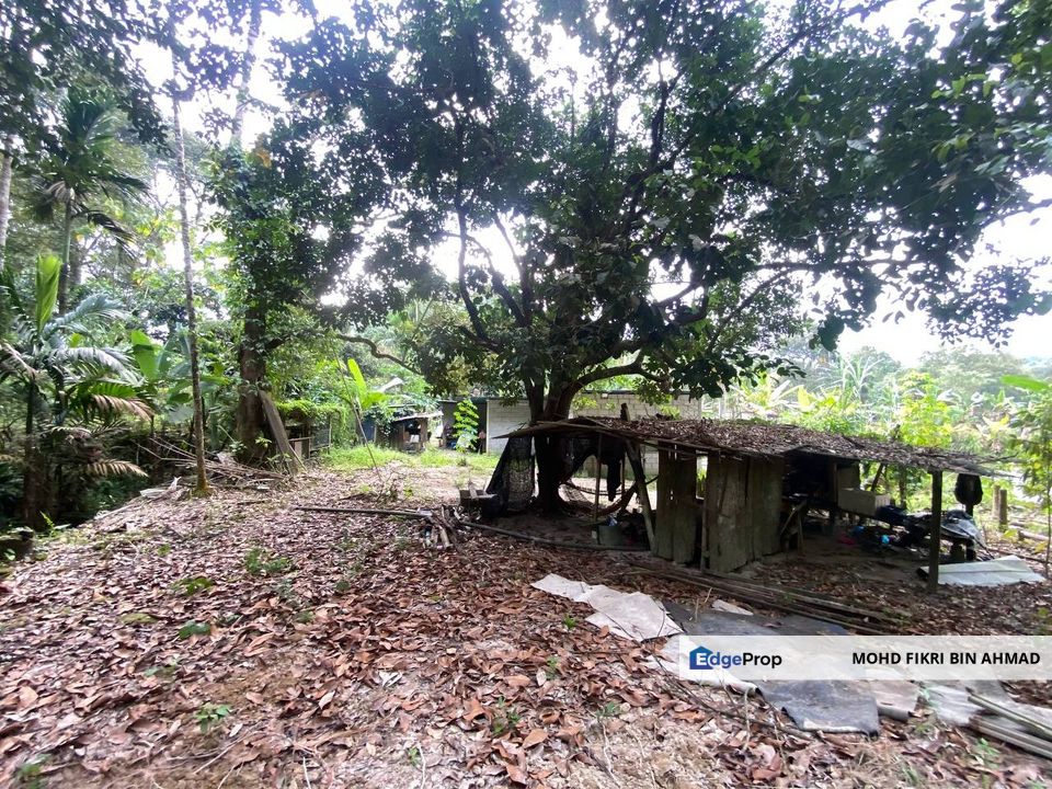LAND FOR SALE: Tanah Pertanian Sungai Lalang Semenyih Selangor, Selangor, Semenyih