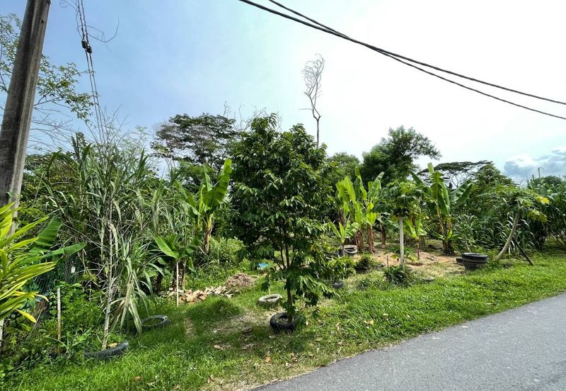 Taman Desa Ros