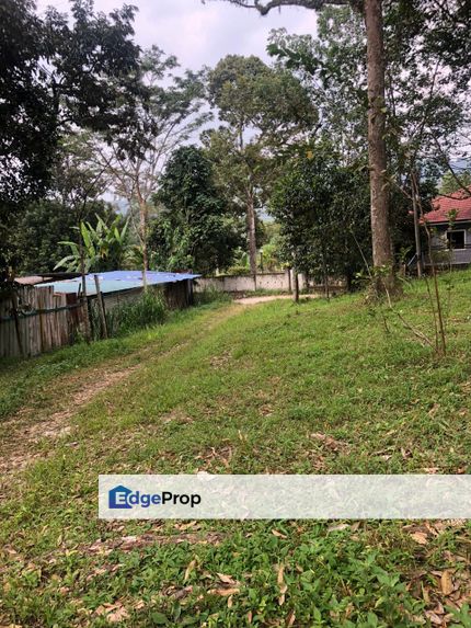 For Sale: Tanah cantik 2 ekar geran individu berserta sungai di Kg Jawa Sg Lui Hulu Langat. ( Berdekatan Laksa Buyung Klasik), Selangor, Hulu Langat