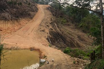 For Sale: Tanah cantik 2 ekar geran individu berserta sungai di Kg Jawa Sg Lui Hulu Langat. ( Berdekatan Laksa Buyung Klasik)