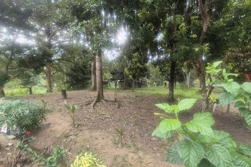 For Sale: Tanah cantik 2 ekar geran individu berserta sungai di Kg Jawa Sg Lui Hulu Langat. ( Berdekatan Laksa Buyung Klasik)