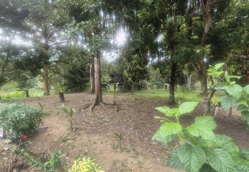 For Sale: Tanah cantik 2 ekar geran individu berserta sungai di Kg Jawa Sg Lui Hulu Langat. ( Berdekatan Laksa Buyung Klasik)