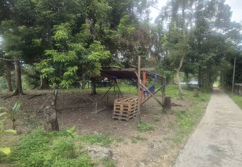 For Sale: Tanah cantik 2 ekar geran individu berserta sungai di Kg Jawa Sg Lui Hulu Langat. ( Berdekatan Laksa Buyung Klasik)