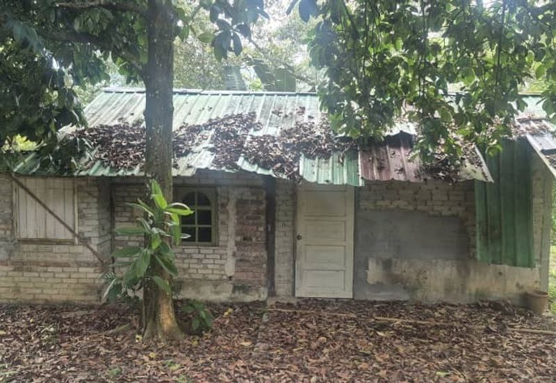 For Sale: Tanah cantik 2 ekar geran individu berserta sungai di Kg Jawa Sg Lui Hulu Langat. ( Berdekatan Laksa Buyung Klasik)