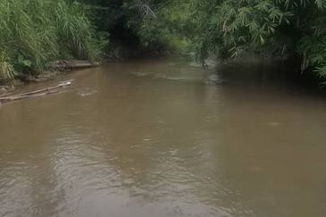 For Sale: Tanah cantik 2 ekar geran individu berserta sungai di Kg Jawa Sg Lui Hulu Langat. ( Berdekatan Laksa Buyung Klasik)