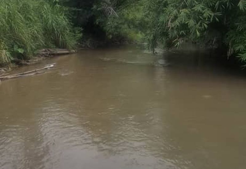 For Sale: Tanah cantik 2 ekar geran individu berserta sungai di Kg Jawa Sg Lui Hulu Langat. ( Berdekatan Laksa Buyung Klasik)