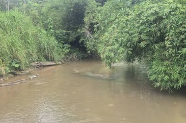 For Sale: Tanah cantik 2 ekar geran individu berserta sungai di Kg Jawa Sg Lui Hulu Langat. ( Berdekatan Laksa Buyung Klasik)