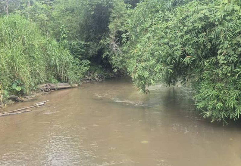 For Sale: Tanah cantik 2 ekar geran individu berserta sungai di Kg Jawa Sg Lui Hulu Langat. ( Berdekatan Laksa Buyung Klasik)