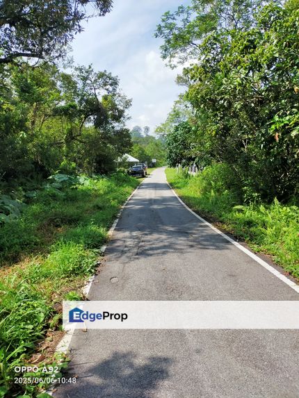 For Sale: Tanah cantik 3 ekar berserta sungai dan pokok buah-buahan di Tuntung Sg.Lui Hulu Langat ( berdekatan D' Haslam), Selangor, Hulu Langat