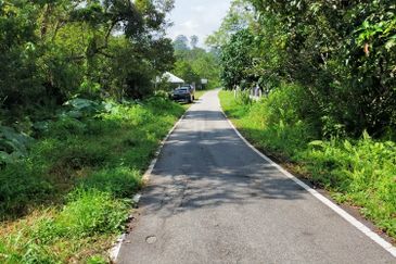 For Sale: Tanah cantik 3 ekar berserta sungai dan pokok buah-buahan di Tuntung Sg.Lui Hulu Langat ( berdekatan D' Haslam)