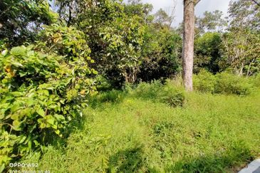 For Sale: Tanah cantik 3 ekar berserta sungai dan pokok buah-buahan di Tuntung Sg.Lui Hulu Langat ( berdekatan D' Haslam)
