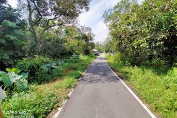 For Sale: Tanah cantik 3 ekar berserta sungai dan pokok buah-buahan di Tuntung Sg.Lui Hulu Langat ( berdekatan D' Haslam)