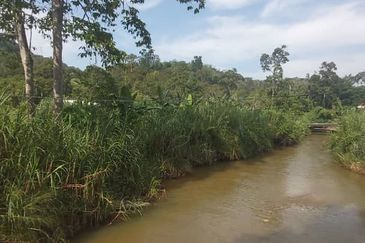 For sale : Tanah Pertanian 3.656 ekar di Batu 20¼ Sg Lui, Hulu Langat. Selangor.