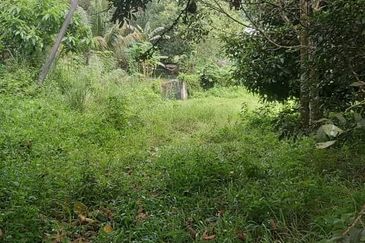 For sale : Tanah Pertanian 3.656 ekar di Batu 20¼ Sg Lui, Hulu Langat. Selangor.