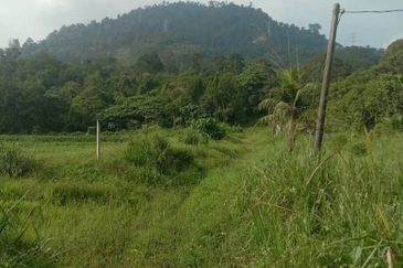 For sale : Tanah Pertanian 3.656 ekar di Batu 20¼ Sg Lui, Hulu Langat. Selangor.