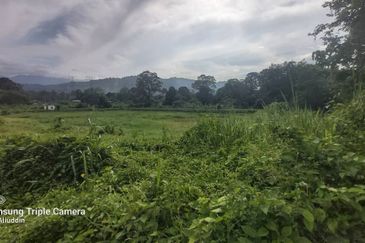 For sale : Tanah Pertanian 3.656 ekar di Batu 20¼ Sg Lui, Hulu Langat. Selangor.