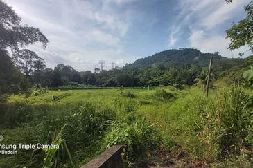 For sale : Tanah Pertanian 3.656 ekar di Batu 20¼ Sg Lui, Hulu Langat. Selangor.