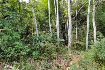 For sale : Tanah 5 Ekar Freehold Geran individu berdekatan dengan King Fisher di Batu 14 Hulu Langat. Selangor.