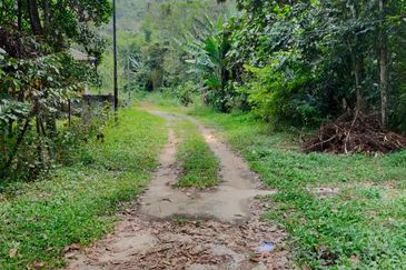 For sale : Tanah 5 Ekar Freehold Geran individu berdekatan dengan King Fisher di Batu 14 Hulu Langat. Selangor.