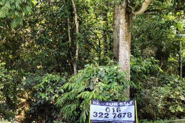 For sale : Tanah 5 Ekar Freehold Geran individu berdekatan dengan King Fisher di Batu 14 Hulu Langat. Selangor.