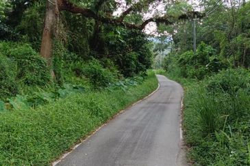 For sale :Tanah cantik 25 Ekar, Freehold dan geran individu di Sungai Tuntung, Hulu Langat Selangor. (Berdekatan D' Haslam)