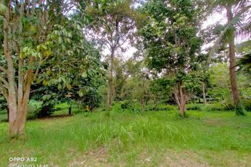 For sale :Tanah cantik 25 Ekar, Freehold dan geran individu di Sungai Tuntung, Hulu Langat Selangor. (Berdekatan D' Haslam)