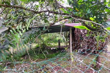 For sale :Tanah cantik 25 Ekar, Freehold dan geran individu di Sungai Tuntung, Hulu Langat Selangor. (Berdekatan D' Haslam)