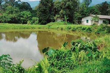 For sale :Tanah cantik 25 Ekar, Freehold dan geran individu di Sungai Tuntung, Hulu Langat Selangor. (Berdekatan D' Haslam)