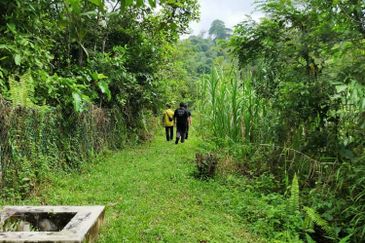 For sale :Tanah cantik 25 Ekar, Freehold dan geran individu di Sungai Tuntung, Hulu Langat Selangor. (Berdekatan D' Haslam)