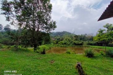 For sale :Tanah cantik 25 Ekar, Freehold dan geran individu di Sungai Tuntung, Hulu Langat Selangor. (Berdekatan D' Haslam)