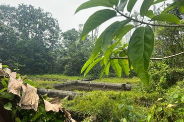 For sale :Tanah cantik 25 Ekar, Freehold dan geran individu di Sungai Tuntung, Hulu Langat Selangor. (Berdekatan D' Haslam)