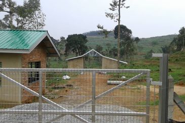 For Sale: Tanah cantik 8 ekar, Freehold dan Geran Individu, Kg.Paku Lanjut, Lendu Alor Gajah. Melaka.