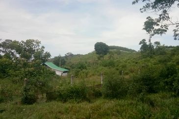 For Sale: Tanah cantik 8 ekar, Freehold dan Geran Individu, Kg.Paku Lanjut, Lendu Alor Gajah. Melaka.