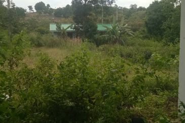 For Sale: Tanah cantik 8 ekar, Freehold dan Geran Individu, Kg.Paku Lanjut, Lendu Alor Gajah. Melaka.