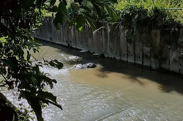 Kampung Sungai Sekamat