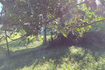 Kampung Sungai Sekamat