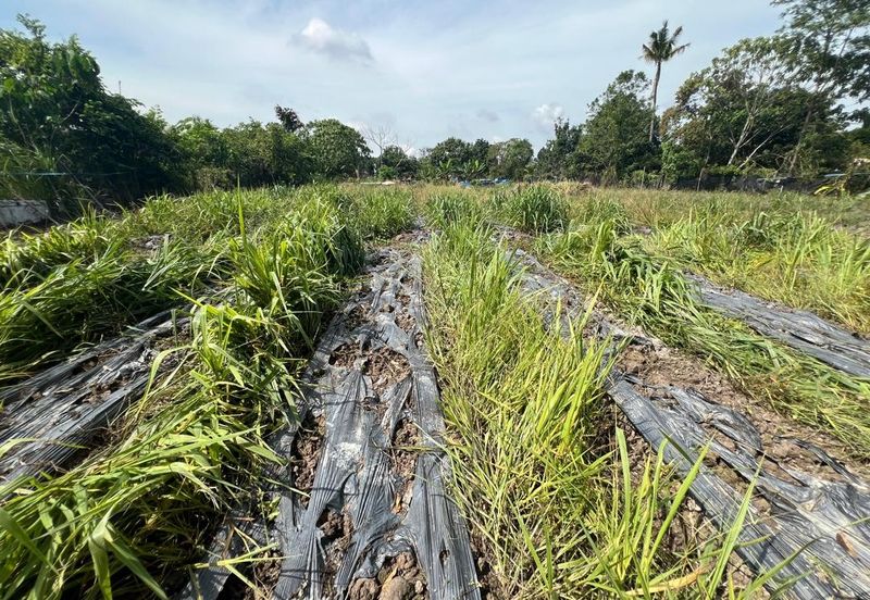 ✨ 1 Ekar Tanah + Rumah @ Kg. Pulau Meranti, Sepang! ✨ (Berdekatan Masjid Pulau Meranti)