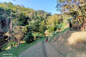 🌳 FOR SALE – Tanah Kebun Durian 2.7 Ekar @ Sungai Lui, Hulu Langat, Selangor. 🌳