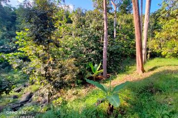 🌳 FOR SALE – Tanah Kebun Durian 2.7 Ekar @ Sungai Lui, Hulu Langat, Selangor. 🌳