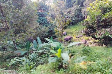🌳 FOR SALE – Tanah Kebun Durian 2.7 Ekar @ Sungai Lui, Hulu Langat, Selangor. 🌳