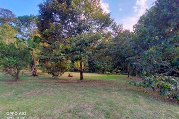 🌳 FOR SALE – Tanah Kebun Durian 2.7 Ekar @ Sungai Lui, Hulu Langat, Selangor. 🌳